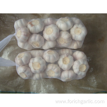 Normal White Garlic 4.5cm packing 1kg 10bags carton